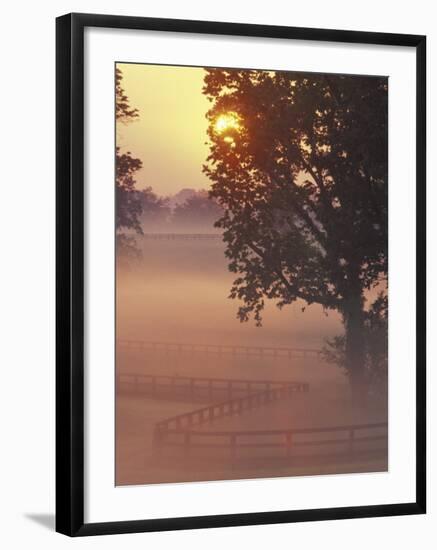 Foggy Sunrise on Horse Farm, Kentucky-Kent Foster-Framed Photographic Print