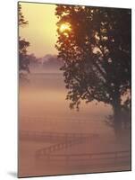 Foggy Sunrise on Horse Farm, Kentucky-Kent Foster-Mounted Photographic Print