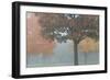 Foggy Trees II-Tammy Putman-Framed Photographic Print