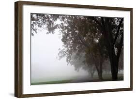 Foggy Trees III-Tammy Putman-Framed Photographic Print