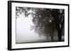 Foggy Trees III-Tammy Putman-Framed Photographic Print