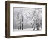 Foggy winter day at Bear Lake-Scott T. Smith-Framed Photographic Print