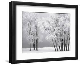 Foggy winter day at Bear Lake-Scott T. Smith-Framed Photographic Print