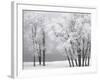 Foggy winter day at Bear Lake-Scott T. Smith-Framed Photographic Print