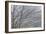 Foggy Winter II-Kathy Mahan-Framed Photographic Print