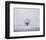 Foggy Winter Morning-Trent Foltz-Framed Art Print