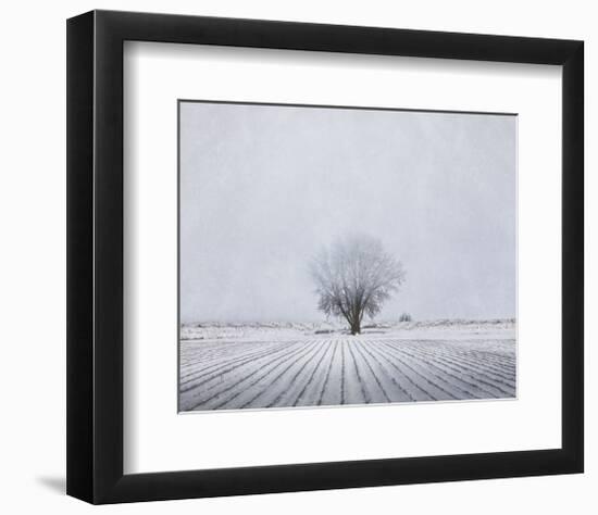 Foggy Winter Morning-Trent Foltz-Framed Art Print