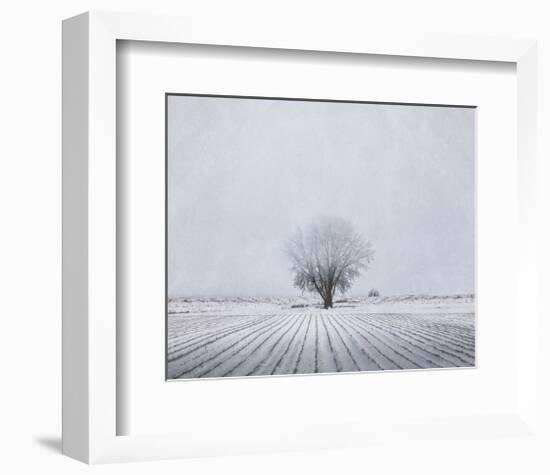 Foggy Winter Morning-Trent Foltz-Framed Art Print