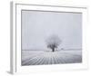 Foggy Winter Morning-Trent Foltz-Framed Art Print