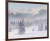 Foggy Winter Mountain Landscape-null-Framed Art Print