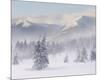 Foggy Winter Mountain Landscape-null-Mounted Art Print