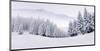 Foggy Winter Mountain Panorama-null-Mounted Art Print