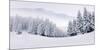 Foggy Winter Mountain Panorama-null-Mounted Art Print