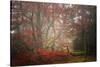 Foggy Woods-Philippe Sainte-Laudy-Stretched Canvas