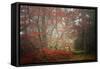 Foggy Woods-Philippe Sainte-Laudy-Framed Stretched Canvas