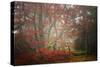 Foggy Woods-Philippe Sainte-Laudy-Stretched Canvas