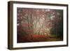 Foggy Woods-Philippe Sainte-Laudy-Framed Photographic Print