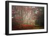 Foggy Woods-Philippe Sainte-Laudy-Framed Photographic Print