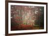 Foggy Woods-Philippe Sainte-Laudy-Framed Photographic Print