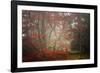 Foggy Woods-Philippe Sainte-Laudy-Framed Photographic Print