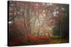Foggy Woods-Philippe Sainte-Laudy-Stretched Canvas