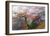 Foggy Woods-Stefan Hefele-Framed Giclee Print