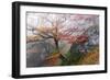 Foggy Woods-Stefan Hefele-Framed Giclee Print