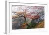 Foggy Woods-Stefan Hefele-Framed Giclee Print