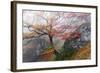 Foggy Woods-Stefan Hefele-Framed Giclee Print