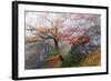 Foggy Woods-Stefan Hefele-Framed Giclee Print