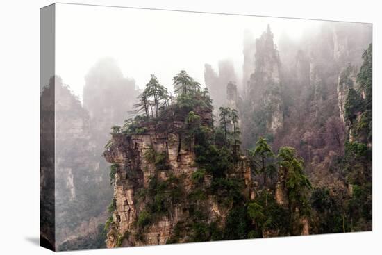 Foggy Zhangjiajie-JasonYU-Stretched Canvas