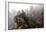 Foggy Zhangjiajie-JasonYU-Framed Photographic Print