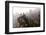 Foggy Zhangjiajie-JasonYU-Framed Photographic Print