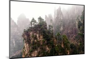 Foggy Zhangjiajie-JasonYU-Mounted Photographic Print