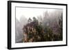 Foggy Zhangjiajie-JasonYU-Framed Photographic Print