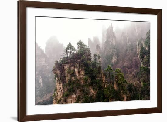 Foggy Zhangjiajie-JasonYU-Framed Photographic Print