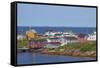 Fogo Island, Newfoundland, Canada-Greg Johnston-Framed Stretched Canvas