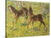 Fohlen Auf Der Weide, 1909-Franz Marc-Stretched Canvas