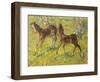 Fohlen Auf Der Weide, 1909-Franz Marc-Framed Giclee Print