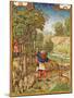 Fol.11V the Month of November: Harvesting Acorns for the Pigs and Hunting-Flemish-Mounted Giclee Print