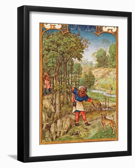 Fol.11V the Month of November: Harvesting Acorns for the Pigs and Hunting-Flemish-Framed Giclee Print