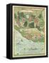 Fol.54V Map of Florida, from 'Cosmographie Universelle', 1555-Guillaume Le Testu-Framed Stretched Canvas