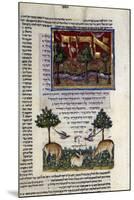 Fol.80 from 'The Rothschild Miscellany', Northern Italy, C.1450-80-null-Mounted Giclee Print