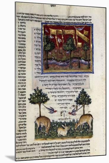 Fol.80 from 'The Rothschild Miscellany', Northern Italy, C.1450-80-null-Mounted Premium Giclee Print