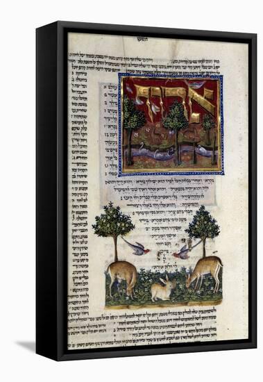 Fol.80 from 'The Rothschild Miscellany', Northern Italy, C.1450-80-null-Framed Stretched Canvas
