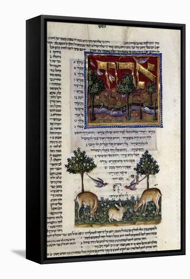 Fol.80 from 'The Rothschild Miscellany', Northern Italy, C.1450-80-null-Framed Stretched Canvas