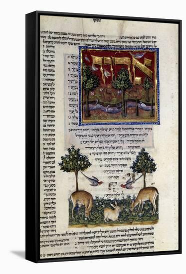 Fol.80 from 'The Rothschild Miscellany', Northern Italy, C.1450-80-null-Framed Stretched Canvas