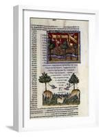 Fol.80 from 'The Rothschild Miscellany', Northern Italy, C.1450-80-null-Framed Giclee Print