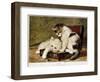 Folatrerie (Kittens) - by Henriette Ronner, 19Th Century-Henriette Ronner-Knip-Framed Giclee Print