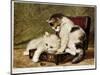 Folatrerie (Kittens) - by Henriette Ronner, 19Th Century-Henriette Ronner-Knip-Mounted Giclee Print